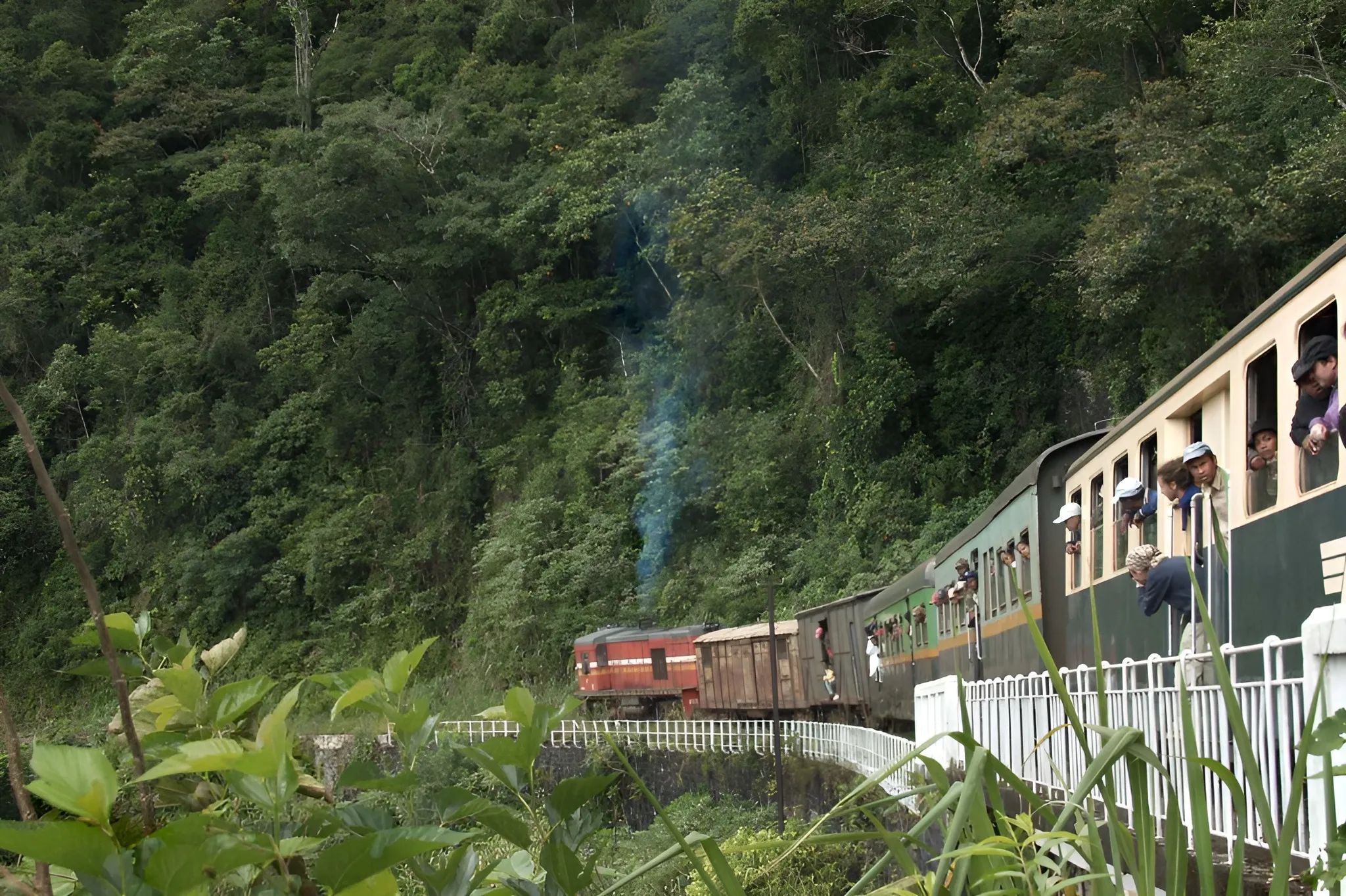 Le train FCE traversant la forêt primaire de Madagascar